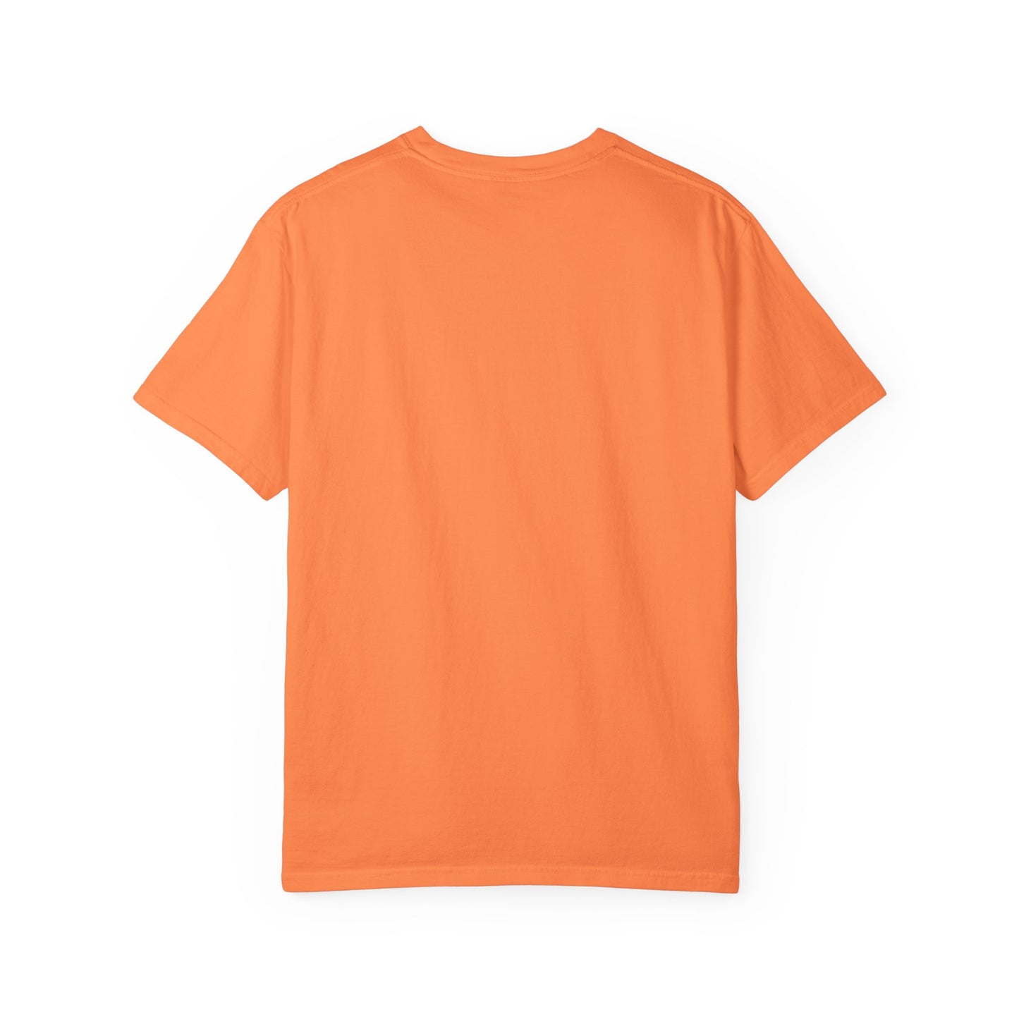 Vols Vols Vols Unisex Tshirt, Tennessee Volunteers Tee, College Football Fan Shirt, Game Day Apparel, Souvenir Gift
