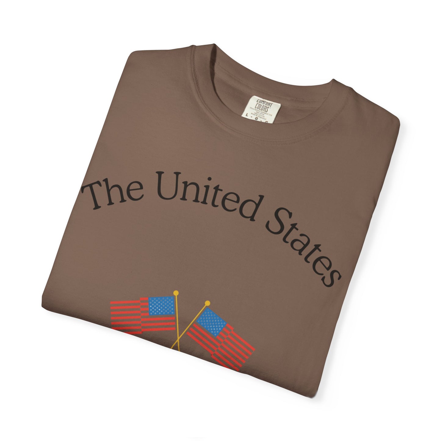 Patriotic Graphic Tee: The United States of America