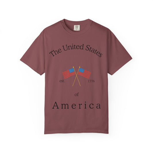 Patriotic Graphic Tee: The United States of America