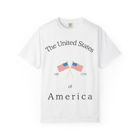 Patriotic Graphic Tee: The United States of America