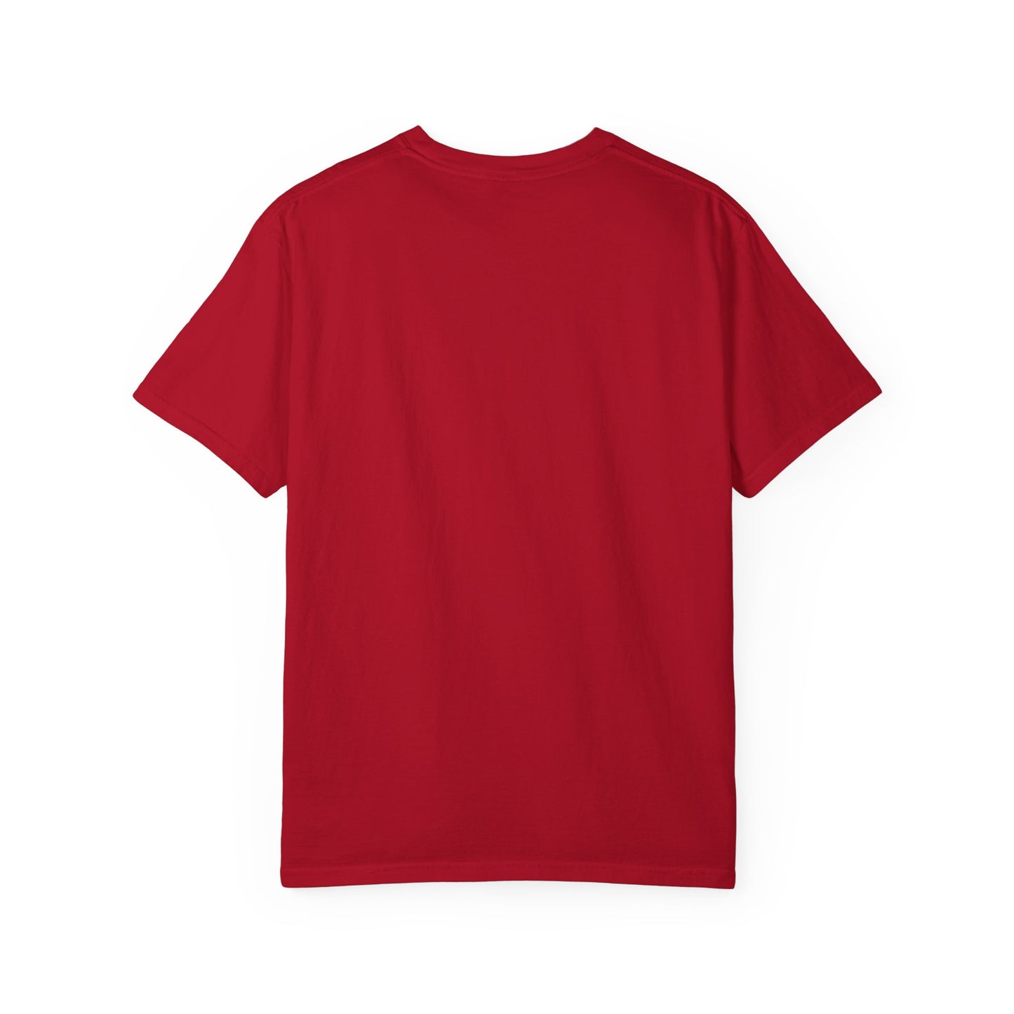 Vintage America T-Shirt - Home of the Brave - Unisex Garment-Dyed Tees